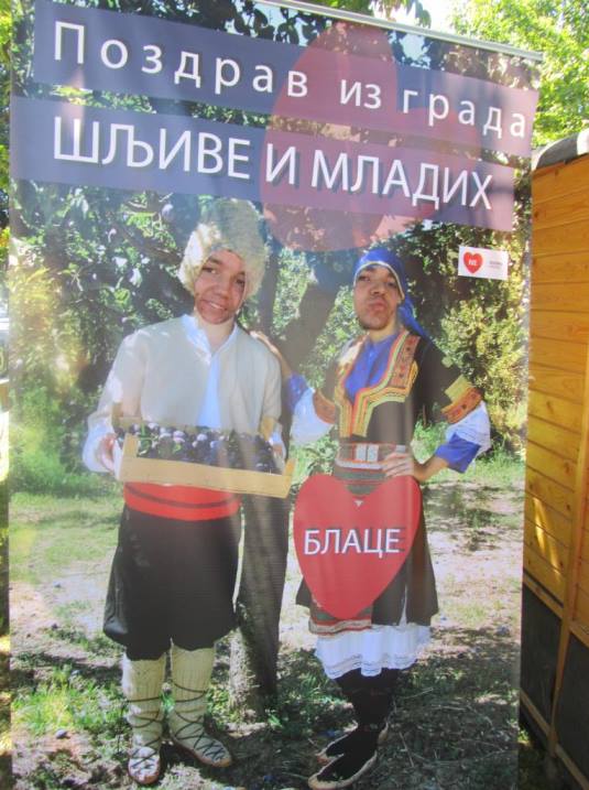 pozdrav-sljiva
