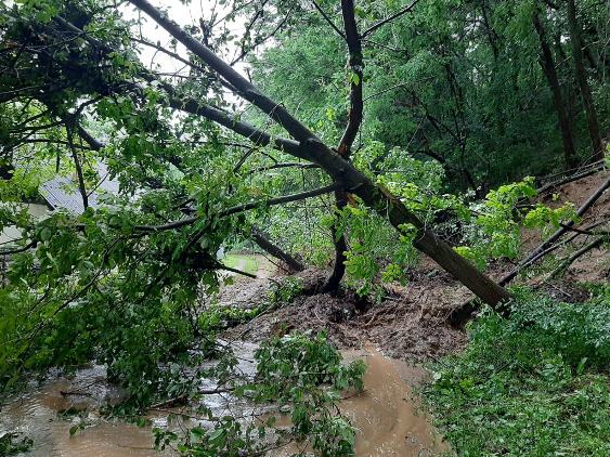 poplave2020 3